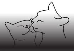 投稿いろいろ小